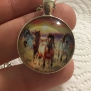 Pretty wild horse necklace, NWOT